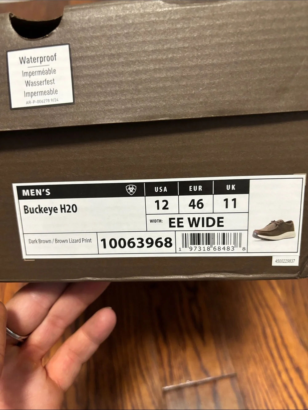 Ariat Buckeye H20 Dark Brown Work/Casual Shoes Size: 12 EE WIDE NEW IN BOX
